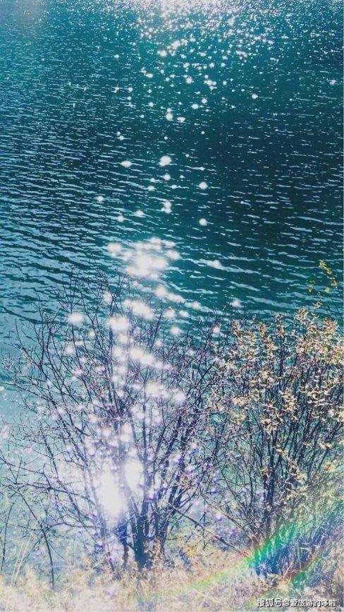 逃离海岛村