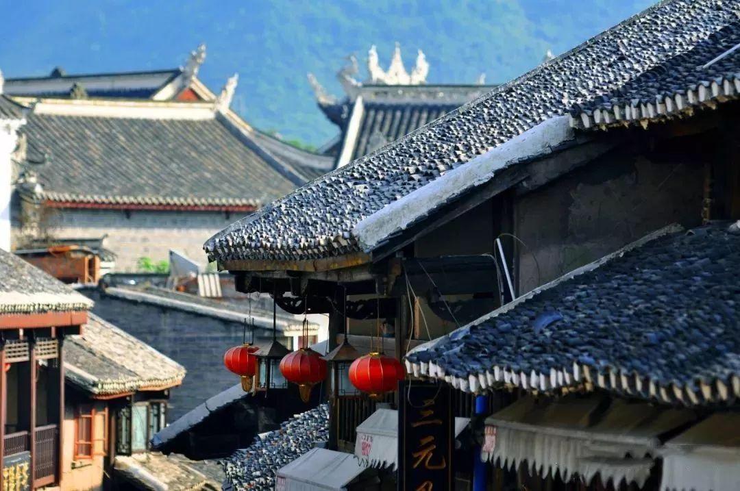 逃离梦想花园